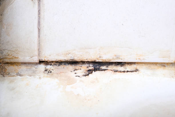 Find Out the Best Way to Restore Your Bethpage Property Today